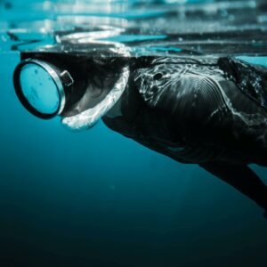Anonymous person in diving mask swimming underwater in daytime