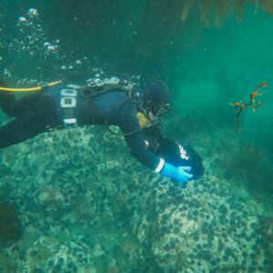 A Scuba Diver with an Underwater Scooter