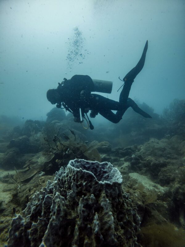 Scuba Diver Floating Above Volcano Shaped Coral Structure 